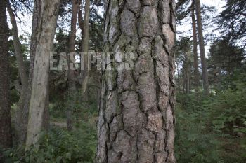 EA294537, Eastpress, Porvoo, Finland
